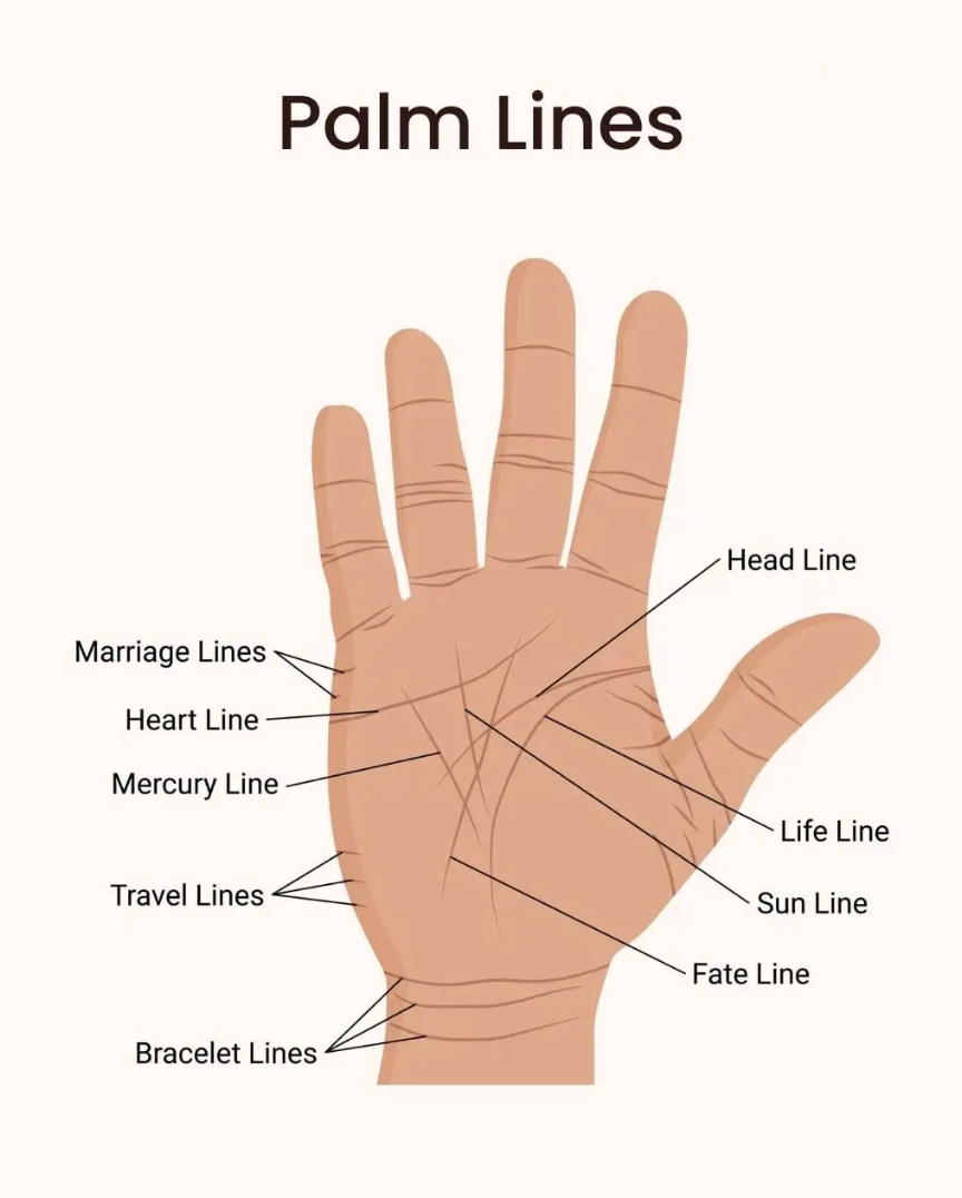 Palm reading session